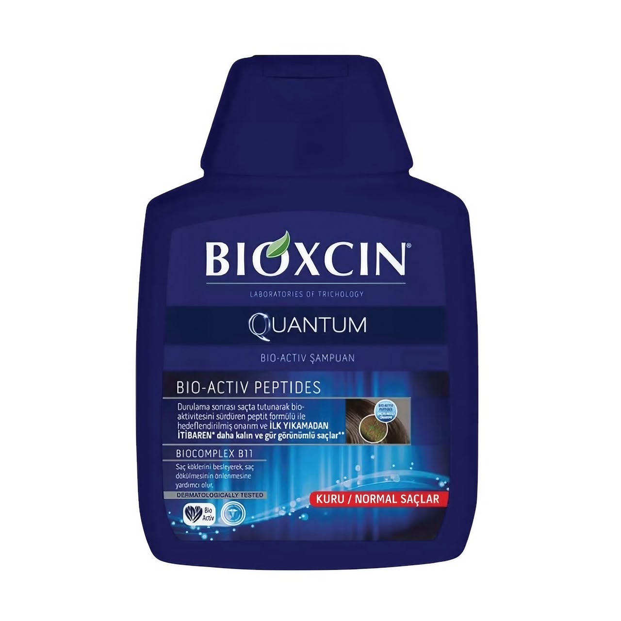 شامپو ضد ریزش بیوکسین Bioxcin مخصوص موهای چرب | حجم ۳۰۰ میلی‌لیتر، کنترل‌کننده چربی پوست سر، کمک به کاهش ریزش مو، تقویت‌کننده ریشه و تارهای مو، افزایش استحکام مو، پاکسازی عمیق پوست سر، مناسب موهای چرب و مستعد ریزش، فاقد پارابن و مناسب استفاده روزانه (اورجینال)